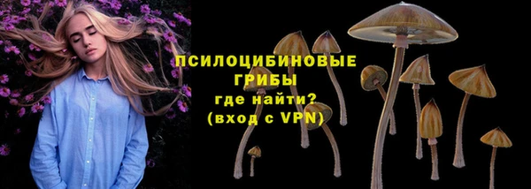 прущие крисы Алексин