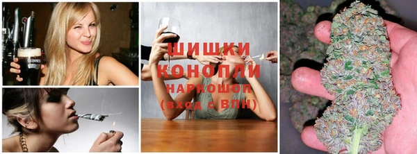 сатива Алзамай