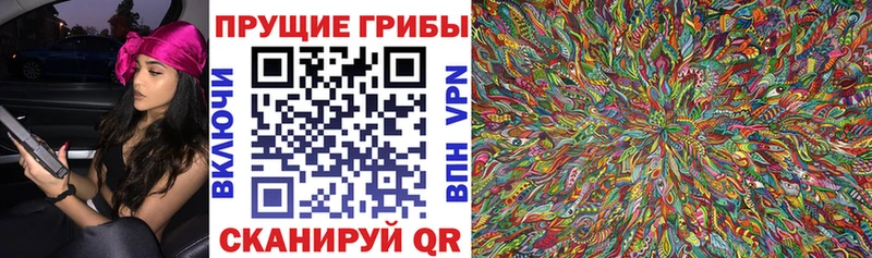 Псилоцибиновые грибы ЛСД мега сайт Пролетарск где найти наркотики
